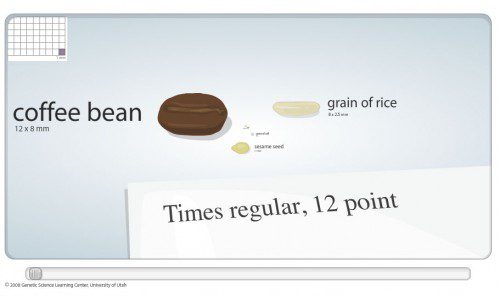 scale