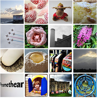 2012 in 366 Photographs : My Photo366 Project