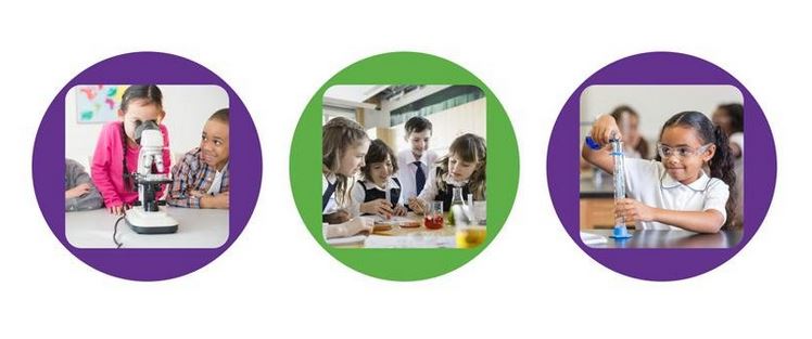 Reach Out: Free Science CPD for Primary Teachers