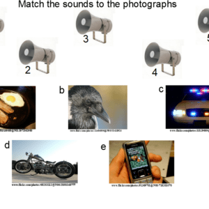 Science Lesson Starter Examples (Smart/Promethean)